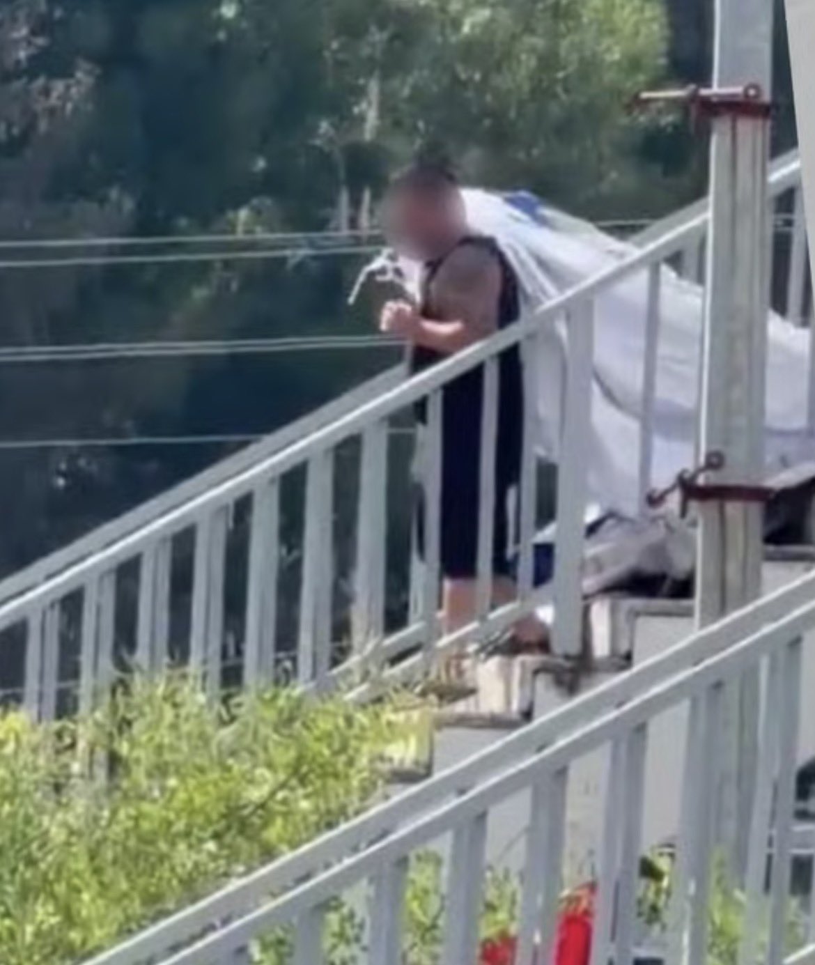 Zonguldak'ın Devrek ilçesinde, Cumhurbaşkanı Recep Tayyip Erdoğan'ın pankartını söken ve pankarta zarar veren şüpheli, çıkarıldığı…