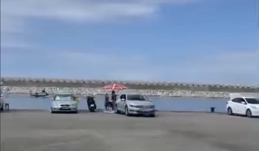 Amasra’da sahilde köpek balığı sürprizi