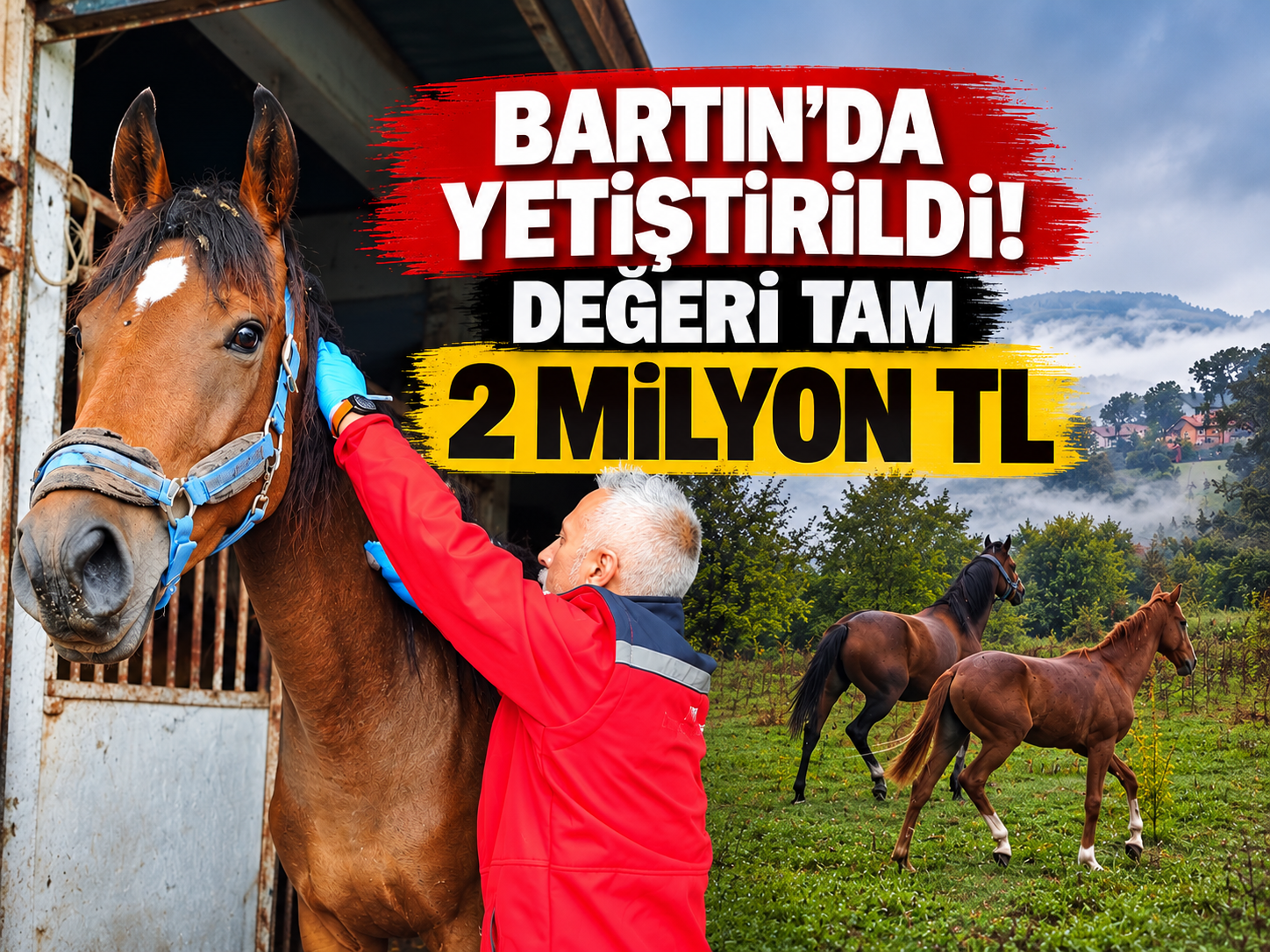Bartın’da yetiştirildi. değeri tam 2 milyon tl